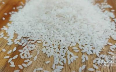 Gobindobhog Rice – non-basmati rice grain sample