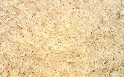 Minikit Rice – non-basmati rice grain sample