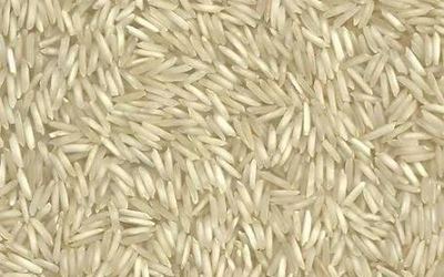 Pusa Steam – non-basmati rice grain sample