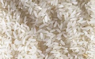 Sona Masuri Raw – non-basmati rice grain sample