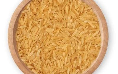 Sugandha Golden – non-basmati rice grain sample